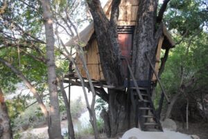 Lodge-treehouse in greater Kruger park - Safarilife