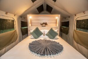 The Kruger and Sabi Sand Luxury Tented Camp Safari - SafariLife