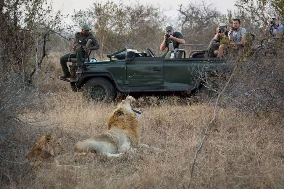 Tracking the Big Five on Foot